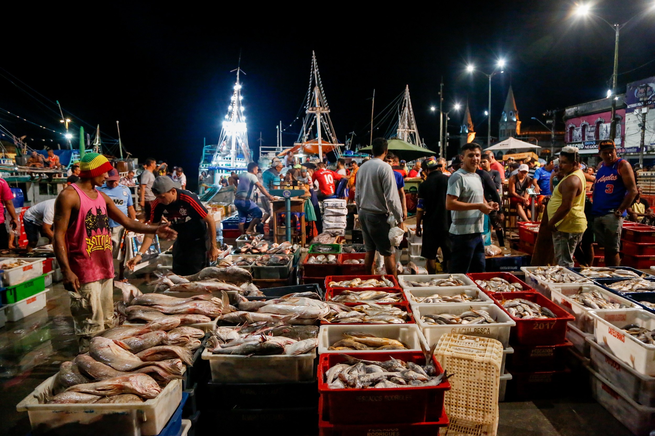 Prefeitura quer assegurar o abastecimento do peixe na Semana Santa – Guarda  Municipal
