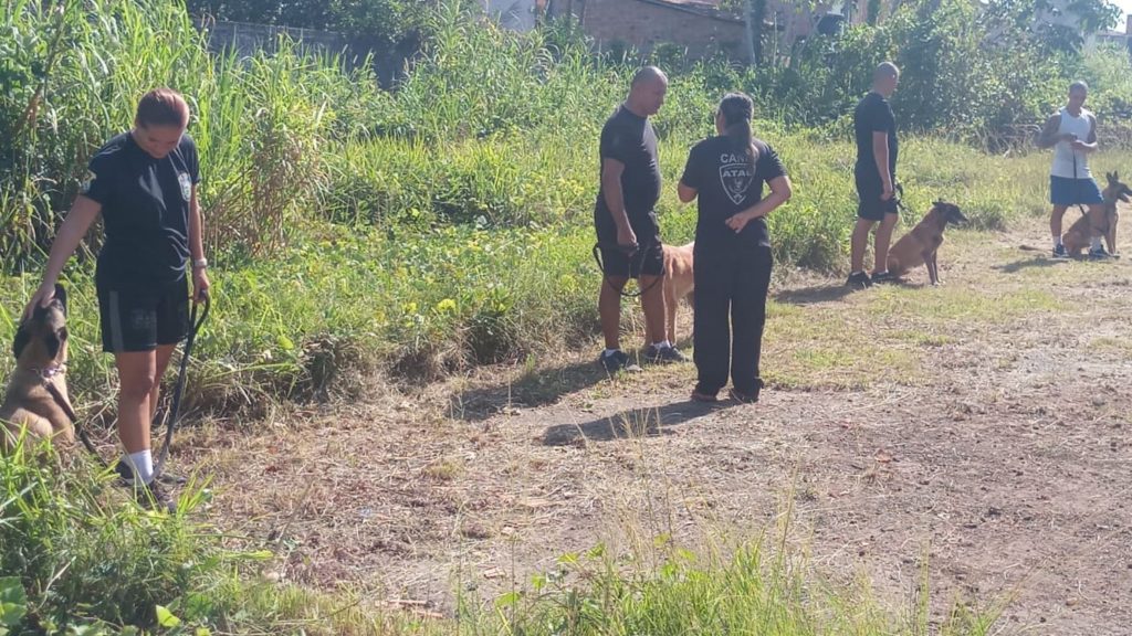 A Guarda Municipal de Belém iniciou, no dia 15, o 1° Curso de Cães de Faro de Arma e Entorpecentes.